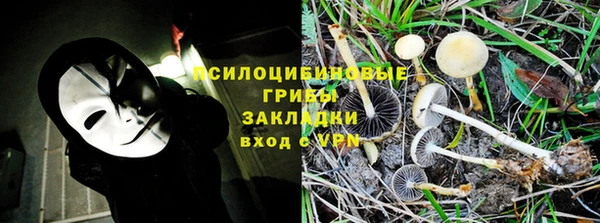 не бодяженный Инсар