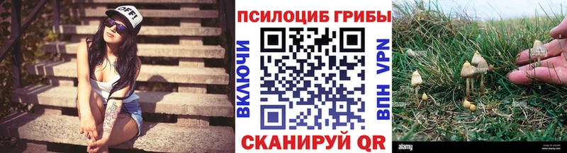 закладка  мега рабочий сайт  Галлюциногенные грибы мухоморы  Липки 